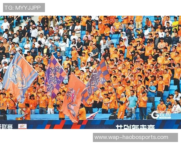 青岛红狮足球队奋勇拼搏展现青春风采助力城市体育发展与文化传播