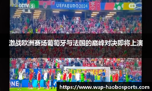 激战欧洲赛场葡萄牙与法国的巅峰对决即将上演
