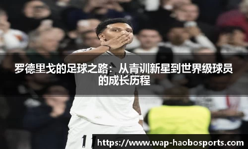 足球直播