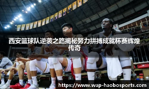 西安篮球队逆袭之路揭秘努力拼搏成就杯赛辉煌传奇