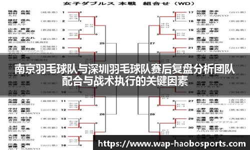 南京羽毛球队与深圳羽毛球队赛后复盘分析团队配合与战术执行的关键因素