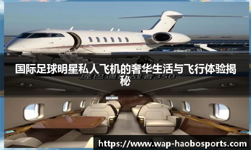 国际足球明星私人飞机的奢华生活与飞行体验揭秘
